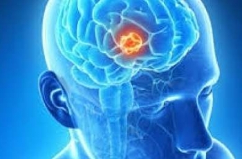 Реферат: Некоторые факторы, влияющие на развитие головного мозга